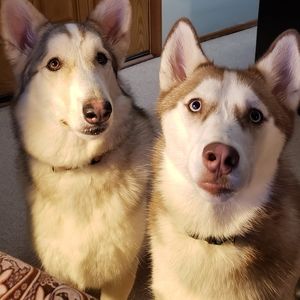 Meet your Posher, Kristy